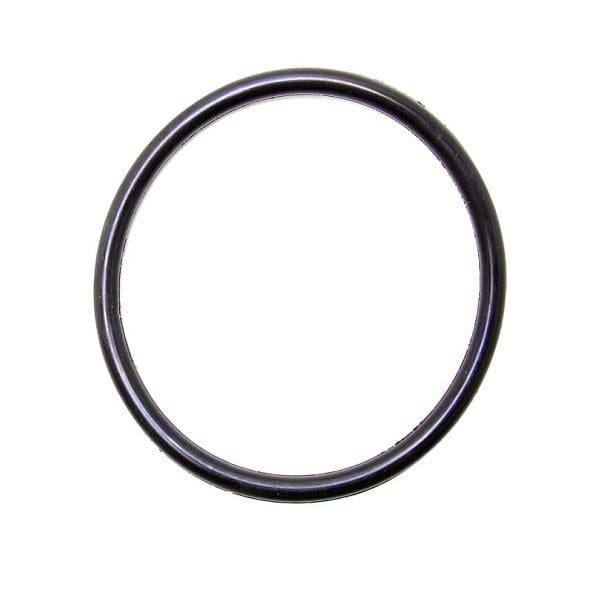 Thermostat Seal - 032121119H