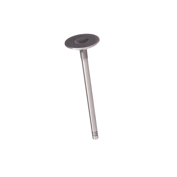 Inlet Valve - 027109601C
