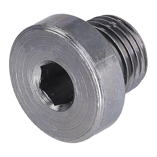 Transmission Oil Drain Plug - 018321377BGE